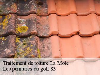 Traitement de toiture