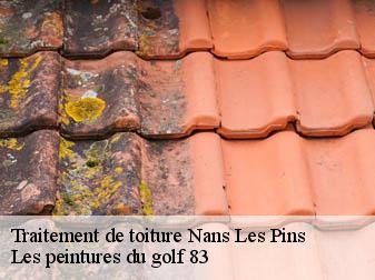 Traitement de toiture