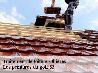Traitement de toiture 83470