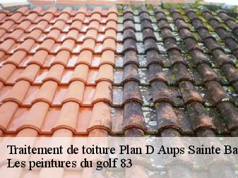 Traitement de toiture  plan-d-aups-sainte-baume-83640 Les peintures du golf 83