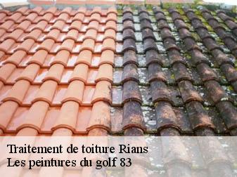 Traitement de toiture rians-83560 Les peintures du golf 83