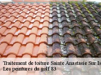 Traitement de toiture sainte-anastasie-sur-issole-83136 Les peintures du golf 83