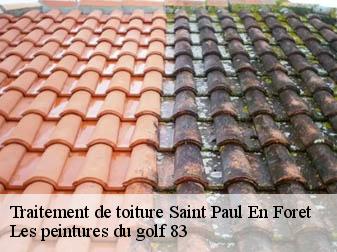 Traitement de toiture saint-paul-en-foret-83440 Les peintures du golf 83