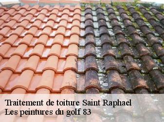 Traitement de toiture saint-raphael-83700 Les peintures du golf 83