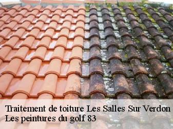 Traitement de toiture  les-salles-sur-verdon-83630 Les peintures du golf 83