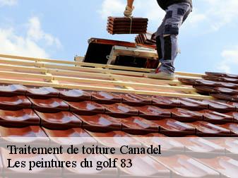 Traitement de toiture 83820