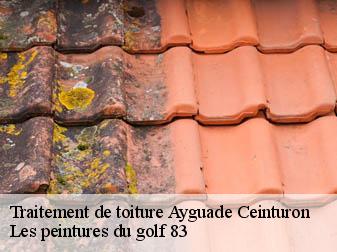 Traitement de toiture