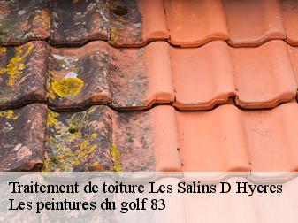 Traitement de toiture