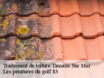 Traitement de toiture