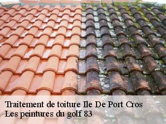 Traitement de toiture ile-de-port-cros-83400 Les peintures du golf 83