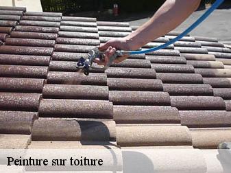 Peinture sur toiture