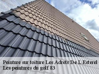 Peinture sur toiture 83600