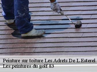 Peinture sur toiture