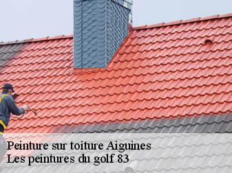 Peinture sur toiture  aiguines-83630 Les peintures du golf 83