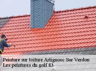 Peinture sur toiture  artignosc-sur-verdon-83630 Les peintures du golf 83