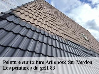 Peinture sur toiture  83630