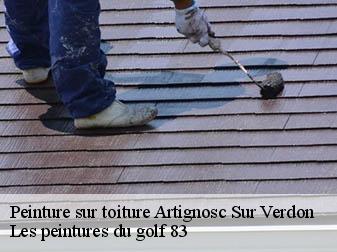 Peinture sur toiture