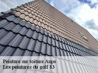 Peinture sur toiture  83630