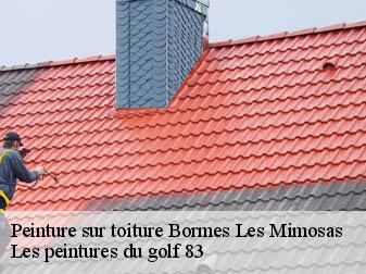 Peinture sur toiture bormes-les-mimosas-83230 Les peintures du golf 83