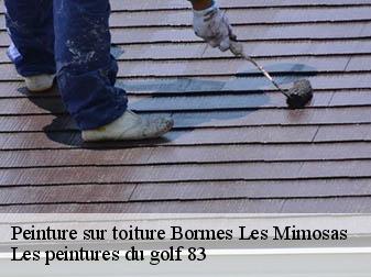Peinture sur toiture