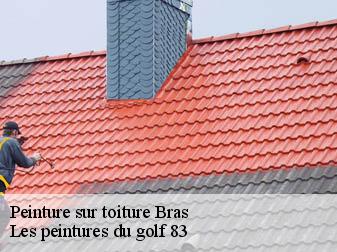 Peinture sur toiture  bras-83149 Les peintures du golf 83