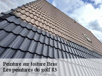 Peinture sur toiture  83149