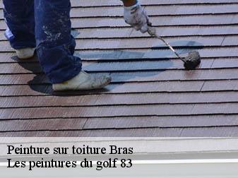 Peinture sur toiture
