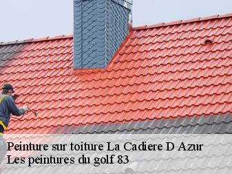 Peinture sur toiture  la-cadiere-d-azur-83740 Les peintures du golf 83