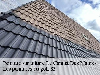Peinture sur toiture 83340