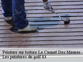 Peinture sur toiture