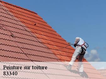 Peinture sur toiture 83340