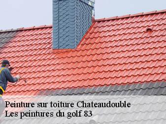 Peinture sur toiture chateaudouble-83300 Les peintures du golf 83