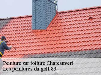 Peinture sur toiture chateauvert-83670 Les peintures du golf 83