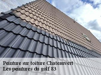 Peinture sur toiture 83670