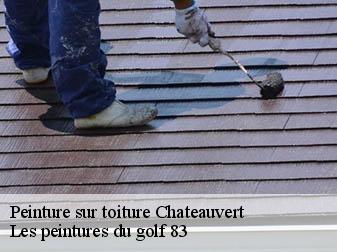 Peinture sur toiture