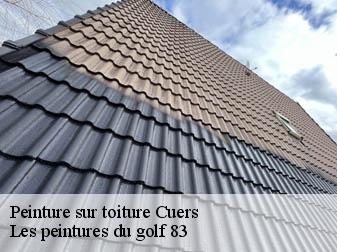 Peinture sur toiture 83390