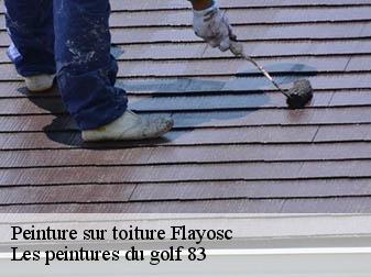 Peinture sur toiture