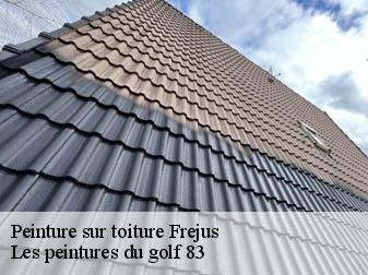 Peinture sur toiture  83600