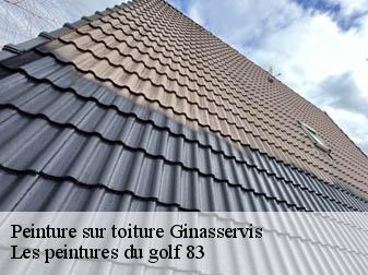 Peinture sur toiture  83560