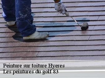 Peinture sur toiture