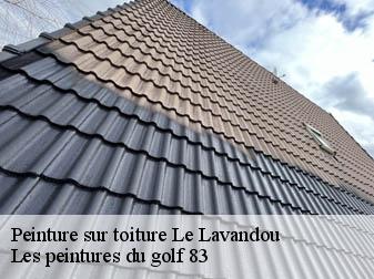 Peinture sur toiture 83980