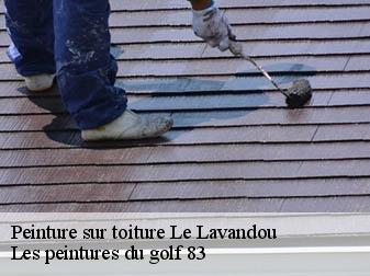 Peinture sur toiture