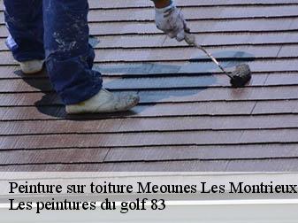Peinture sur toiture