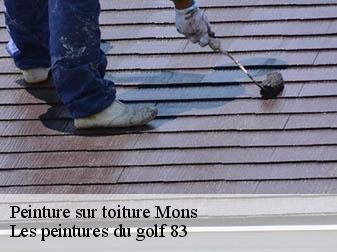 Peinture sur toiture