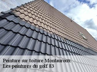 Peinture sur toiture 83440