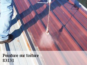 Peinture sur toiture