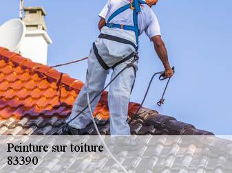 Peinture sur toiture 83390