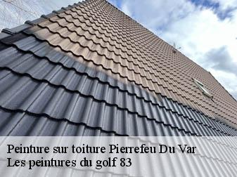 Peinture sur toiture 83390