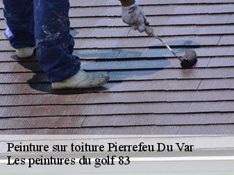 Peinture sur toiture