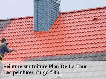 Peinture sur toiture  plan-de-la-tour-83120 Les peintures du golf 83